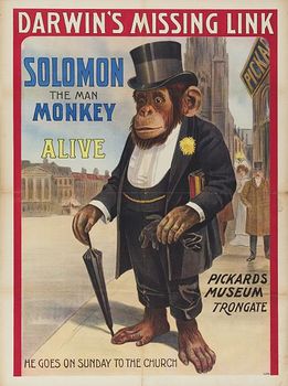 Solomon monkey-circus poster.jpg